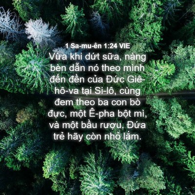 Picture 04 - 1 Sa-mu-ên 1:24 VIE - Vừa khi dứt sữa, nàng bèn dẫn nó theo - Bible Verse Picture