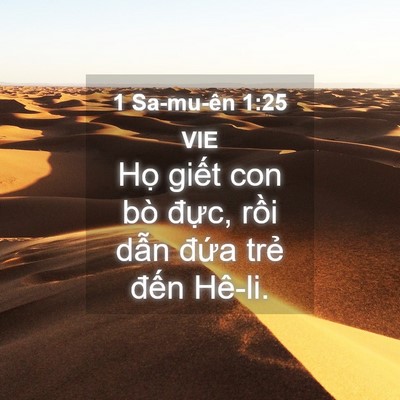Picture 04 - 1 Sa-mu-ên 1:25 VIE - Họ giết con bò đực, rồi dẫn đứa - Bible Verse Picture