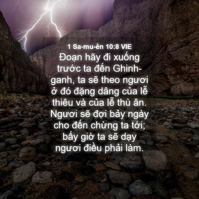 Picture 04 - 1 Sa-mu-ên 10:8 VIE - Đoạn hãy đi xuống trước ta đến - Bible Verse Picture