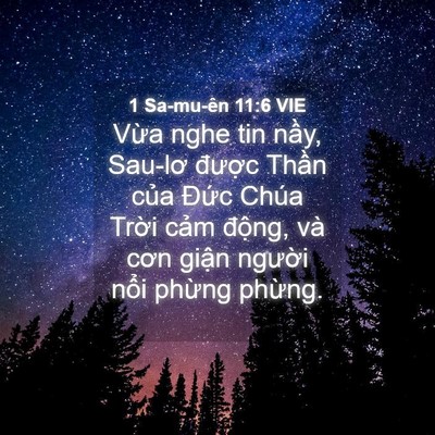 Picture 04 - 1 Sa-mu-ên 11:6 VIE - Vừa nghe tin nầy, Sau-lơ được Thần - Bible Verse Picture
