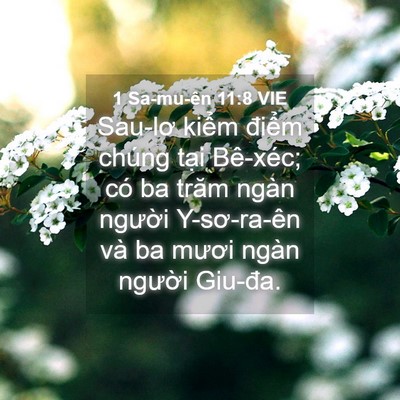 Picture 04 - 1 Sa-mu-ên 11:8 VIE - Sau-lơ kiểm điểm chúng tại Bê-xéc; có - Bible Verse Picture