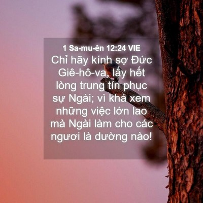 Picture 04 - 1 Sa-mu-ên 12:24 VIE - Chỉ hãy kính sợ Đức Giê-hô-va, lấy - Bible Verse Picture