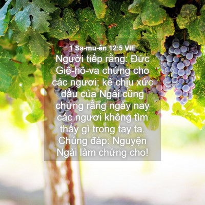 Picture 04 - 1 Sa-mu-ên 12:5 VIE - Người tiếp rằng: Đức Giê-hô-va - Bible Verse Picture