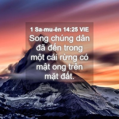Picture 04 - 1 Sa-mu-ên 14:25 VIE - Song chúng dân đã đến trong một cái - Bible Verse Picture