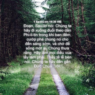 Picture 04 - 1 Sa-mu-ên 14:36 VIE - Đoạn, Sau-lơ nói: Chúng ta hãy đi xuống - Bible Verse Picture