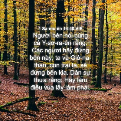 Picture 04 - 1 Sa-mu-ên 14:40 VIE - Người bèn nói cùng cả Y-sơ-ra-ên - Bible Verse Picture