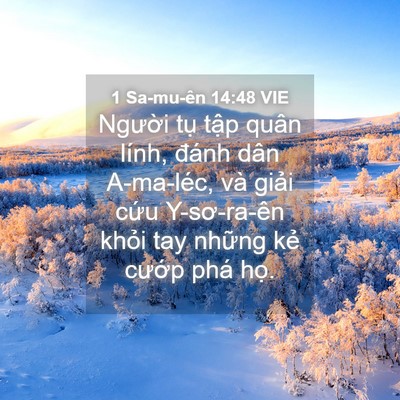 Picture 04 - 1 Sa-mu-ên 14:48 VIE - Người tụ tập quân lính, đánh dân - Bible Verse Picture