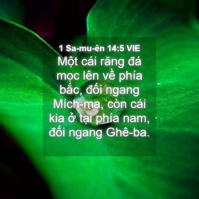 Picture 04 - 1 Sa-mu-ên 14:5 VIE - Một cái răng đá mọc lên về phía - Bible Verse Picture
