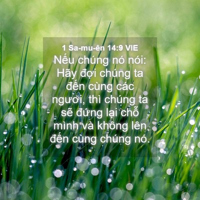 Picture 04 - 1 Sa-mu-ên 14:9 VIE - Nếu chúng nó nói: Hãy đợi chúng ta - Bible Verse Picture
