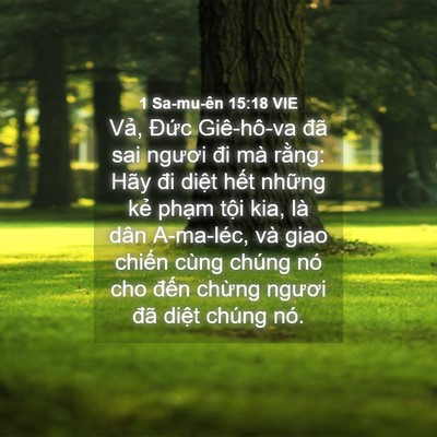 Picture 04 - 1 Sa-mu-ên 15:18 VIE - Vả, Đức Giê-hô-va đã sai ngươi đi mà - Bible Verse Picture