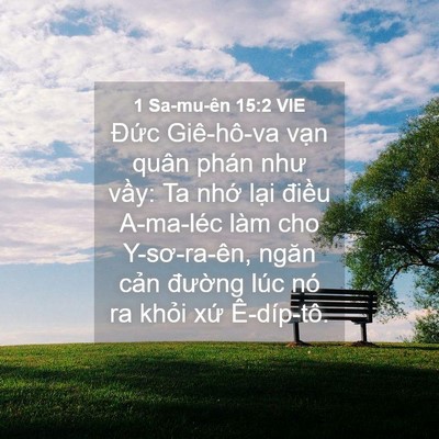 Picture 04 - 1 Sa-mu-ên 15:2 VIE - Đức Giê-hô-va vạn quân phán như vầy: - Bible Verse Picture