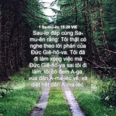 Picture 04 - 1 Sa-mu-ên 15:20 VIE - Sau-lơ đáp cùng Sa-mu-ên rằng: Tôi thật - Bible Verse Picture