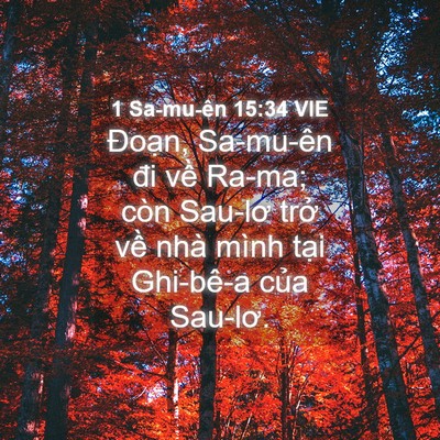 Picture 04 - 1 Sa-mu-ên 15:34 VIE - Đoạn, Sa-mu-ên đi về Ra-ma; còn Sau-lơ - Bible Verse Picture