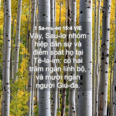 Picture 04 - 1 Sa-mu-ên 15:4 VIE - Vậy, Sau-lơ nhóm hiệp dân sự và điểm - Bible Verse Picture
