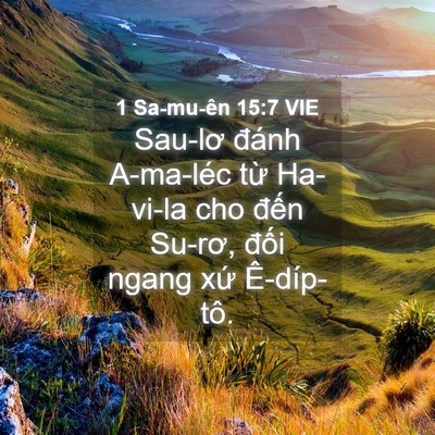 Picture 04 - 1 Sa-mu-ên 15:7 VIE - Sau-lơ đánh A-ma-léc từ Ha-vi-la cho đến - Bible Verse Picture
