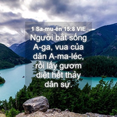 Picture 04 - 1 Sa-mu-ên 15:8 VIE - Người bắt sống A-ga, vua của dân - Bible Verse Picture