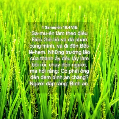 Picture 04 - 1 Sa-mu-ên 16:4 VIE - Sa-mu-ên làm theo điều Đức Giê-hô-va - Bible Verse Picture