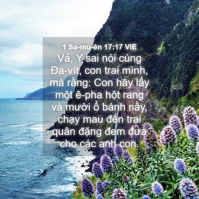 Picture 04 - 1 Sa-mu-ên 17:17 VIE - Vả, Y-sai nói cùng Đa-vít, con trai mình, - Bible Verse Picture