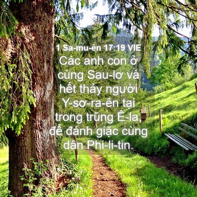 Picture 04 - 1 Sa-mu-ên 17:19 VIE - Các anh con ở cùng Sau-lơ và hết thảy - Bible Verse Picture