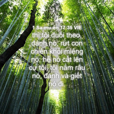 Picture 04 - 1 Sa-mu-ên 17:35 VIE - thì tôi đuổi theo, đánh nó, rứt con - Bible Verse Picture