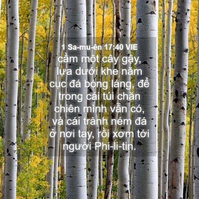 Picture 04 - 1 Sa-mu-ên 17:40 VIE - cầm một cây gậy, lựa dưới khe năm - Bible Verse Picture