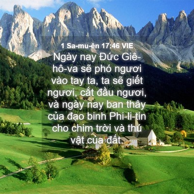 Picture 04 - 1 Sa-mu-ên 17:46 VIE - Ngày nay Đức Giê-hô-va sẽ phó ngươi - Bible Verse Picture