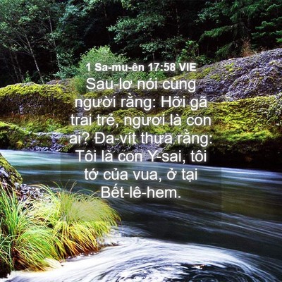 Picture 04 - 1 Sa-mu-ên 17:58 VIE - Sau-lơ nói cùng người rằng: Hỡi gã - Bible Verse Picture