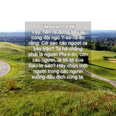Picture 04 - 1 Sa-mu-ên 17:8 VIE - Vậy, hắn ra đứng kêu la cùng đội ngũ - Bible Verse Picture
