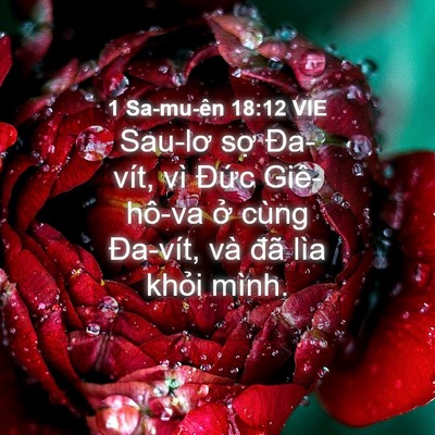 Picture 04 - 1 Sa-mu-ên 18:12 VIE - Sau-lơ sợ Đa-vít, vì Đức Giê-hô-va ở - Bible Verse Picture