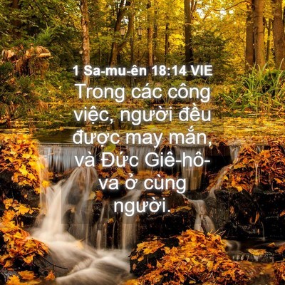 Picture 04 - 1 Sa-mu-ên 18:14 VIE - Trong các công việc, người đều được - Bible Verse Picture