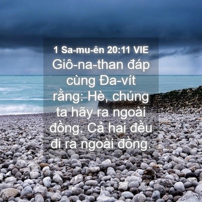 Picture 04 - 1 Sa-mu-ên 20:11 VIE - Giô-na-than đáp cùng Đa-vít rằng: Hè, - Bible Verse Picture