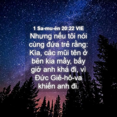 Picture 04 - 1 Sa-mu-ên 20:22 VIE - Nhưng nếu tôi nói cùng đứa trẻ rằng: - Bible Verse Picture