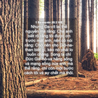 Picture 04 - 1 Sa-mu-ên 20:3 VIE - Nhưng Đa-vít lại thề nguyền mà rằng: - Bible Verse Picture