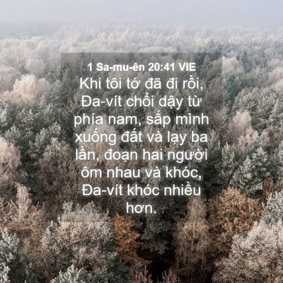 Picture 04 - 1 Sa-mu-ên 20:41 VIE - Khi tôi tớ đã đi rồi, Đa-vít chổi - Bible Verse Picture