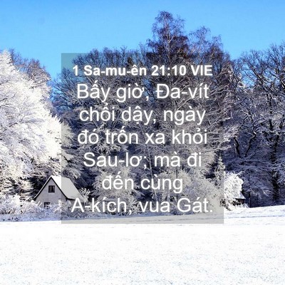Picture 04 - 1 Sa-mu-ên 21:10 VIE - Bấy giờ, Đa-vít chổi dậy, ngày đó - Bible Verse Picture