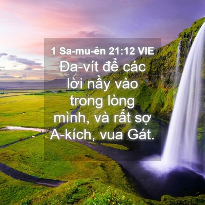 Picture 04 - 1 Sa-mu-ên 21:12 VIE - Đa-vít để các lời nầy vào trong lòng - Bible Verse Picture