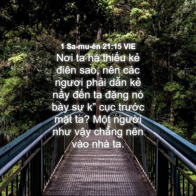 Picture 04 - 1 Sa-mu-ên 21:15 VIE - Nơi ta há thiếu kẻ điên sao, nên các - Bible Verse Picture