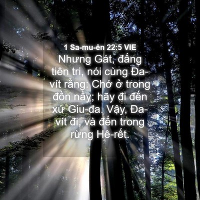 Picture 04 - 1 Sa-mu-ên 22:5 VIE - Nhưng Gát, đấng tiên tri, nói cùng - Bible Verse Picture
