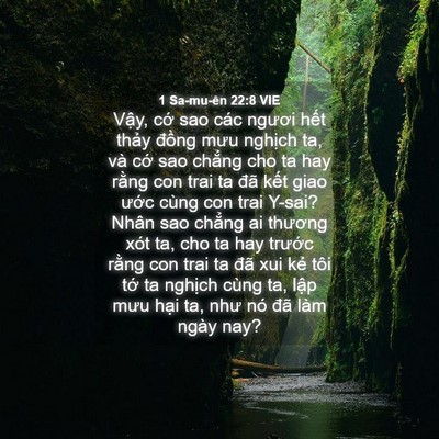 Picture 04 - 1 Sa-mu-ên 22:8 VIE - Vậy, cớ sao các ngươi hết thảy đồng - Bible Verse Picture