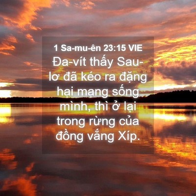 Picture 04 - 1 Sa-mu-ên 23:15 VIE - Đa-vít thấy Sau-lơ đã kéo ra đặng - Bible Verse Picture