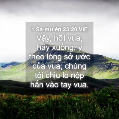 Picture 04 - 1 Sa-mu-ên 23:20 VIE - Vậy, hỡi vua, hãy xuống, y theo lòng sở - Bible Verse Picture