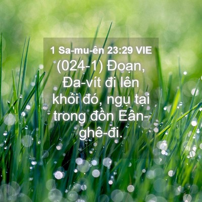 Picture 04 - 1 Sa-mu-ên 23:29 VIE - (024-1) Đoạn, Đa-vít đi lên khỏi đó, - Bible Verse Picture