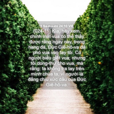 Picture 04 - 1 Sa-mu-ên 24:10 VIE - (024-11) Kìa, hãy xem, chính mắt vua có - Bible Verse Picture