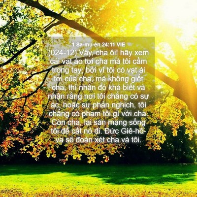 Picture 04 - 1 Sa-mu-ên 24:11 VIE - (024-12) Vậy, cha ôi! hãy xem cái vạt áo - Bible Verse Picture