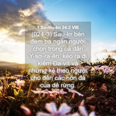 Picture 04 - 1 Sa-mu-ên 24:2 VIE - (024-3) Sau-lơ bèn đem ba ngàn người - Bible Verse Picture
