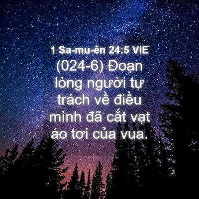 Picture 04 - 1 Sa-mu-ên 24:5 VIE - (024-6) Đoạn lòng người tự trách về - Bible Verse Picture