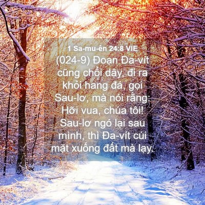 Picture 04 - 1 Sa-mu-ên 24:8 VIE - (024-9) Đoạn Đa-vít cũng chổi dậy, đi - Bible Verse Picture