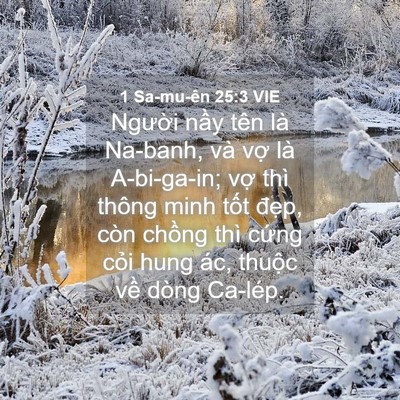 Picture 04 - 1 Sa-mu-ên 25:3 VIE - Người nầy tên là Na-banh, và vợ là - Bible Verse Picture