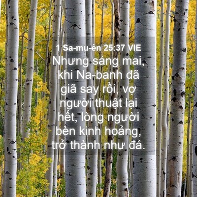 Picture 04 - 1 Sa-mu-ên 25:37 VIE - Nhưng sáng mai, khi Na-banh đã giã say - Bible Verse Picture