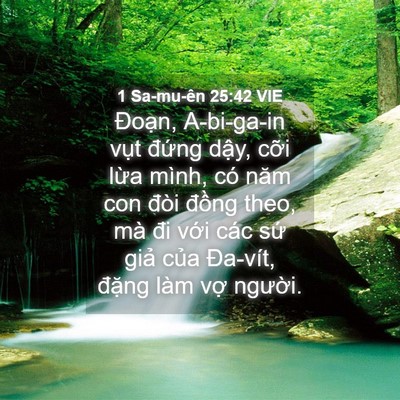 Picture 04 - 1 Sa-mu-ên 25:42 VIE - Đoạn, A-bi-ga-in vụt đứng dậy, cỡi - Bible Verse Picture